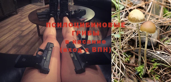 марки nbome Пересвет